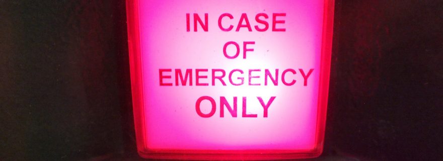 In Case of Emergency Break Law: Āpad Dharma and the State of Exception