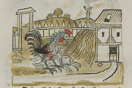 The Rooster & the Pearl: A Little Aesopic Odyssey